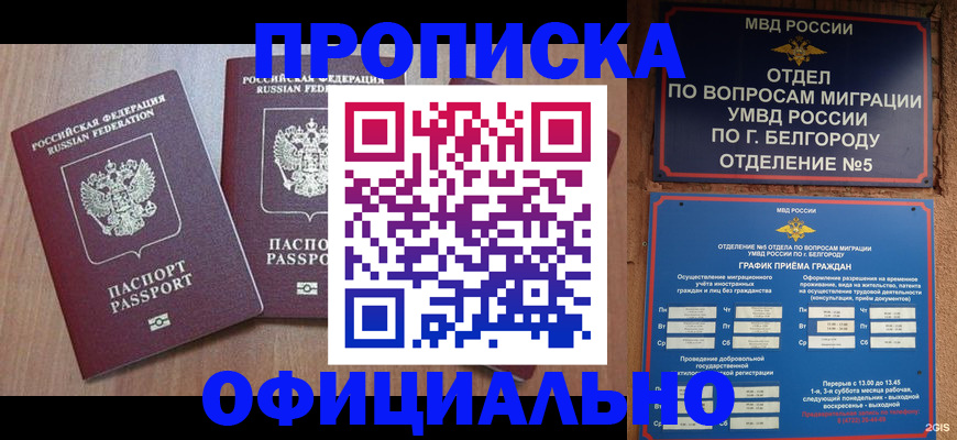 найти адрес прописки в Котовске